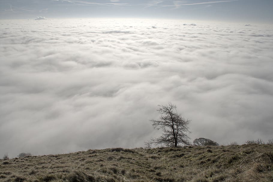 inversion, fog, silhouette, clouds, light, valley, weather HD wallpaper
