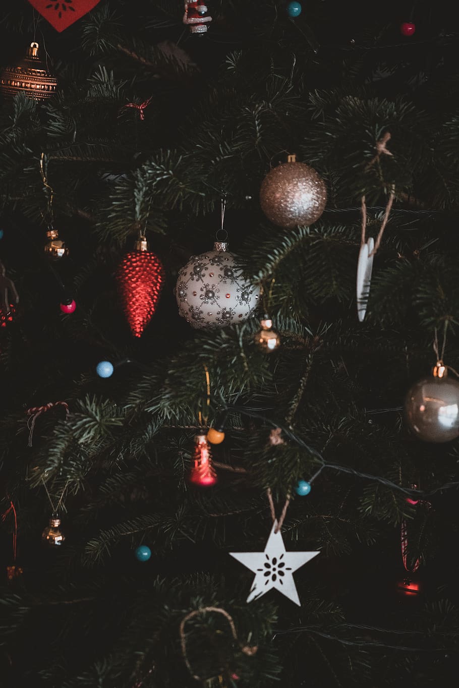 ornament on Christmas tree, plant, pine, lighting, star symbol HD wallpaper