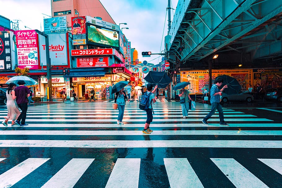 boy under black umbrella, person, people, human, japan, road HD wallpaper