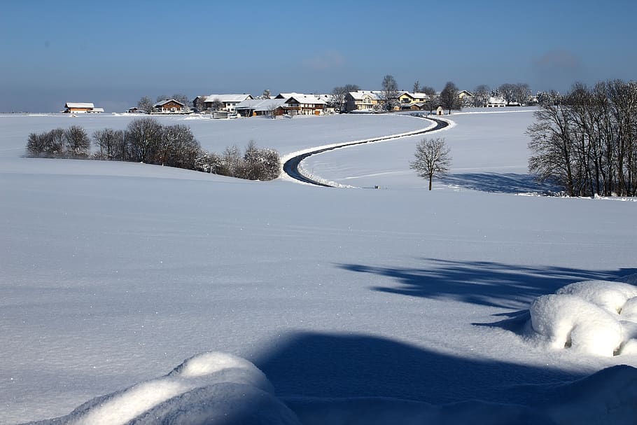 winter, snow, cold, landscape, nature, wintry, sun, white, snowy HD wallpaper