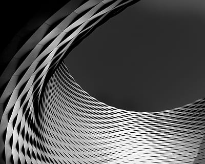 gray digital wallpaper, bird, animal, basel, switzerland, messe HD wallpaper