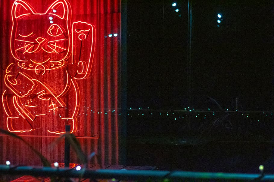 Red Lucky Cat Neon Sign, close-up, colors, dark, design, evening