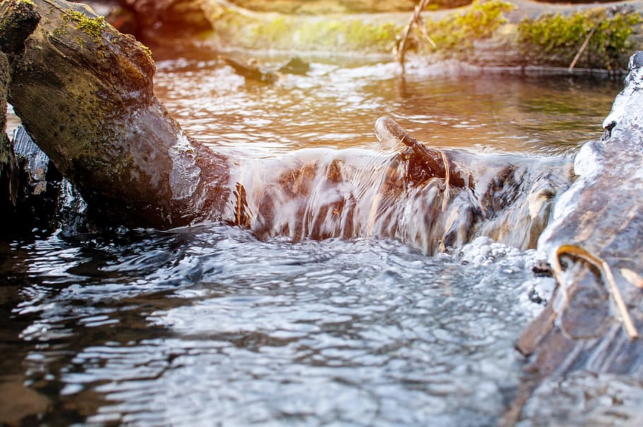 water, stream, the brook, forest, the sun, the rays, torrent HD wallpaper