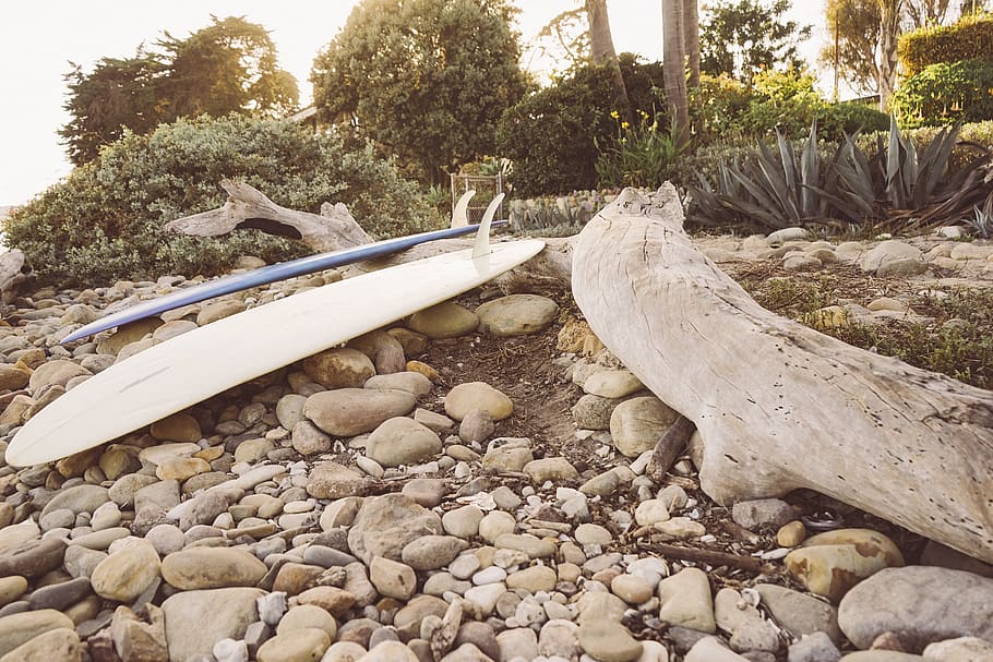 surfboard, rocks, dirt, trees, bushes, log, wood, solid, plant HD wallpaper