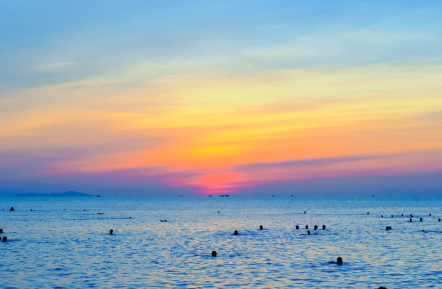 People Swimming On Sea During Golden Hour, beach, dawn, ocean HD wallpaper
