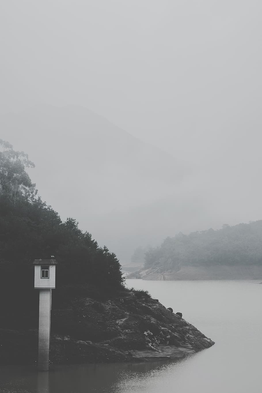 tree, river, fog, water, tranquility, sky, tranquil scene, beauty in nature HD wallpaper