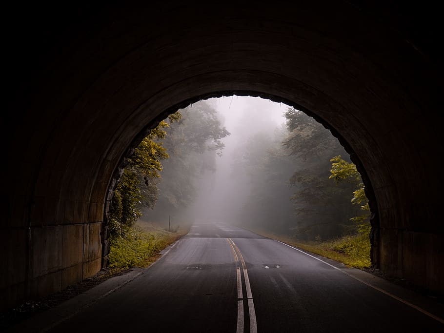 road tunnel wallpaper, mist, fog, tree, forest, woodland, eerie, HD wallpaper