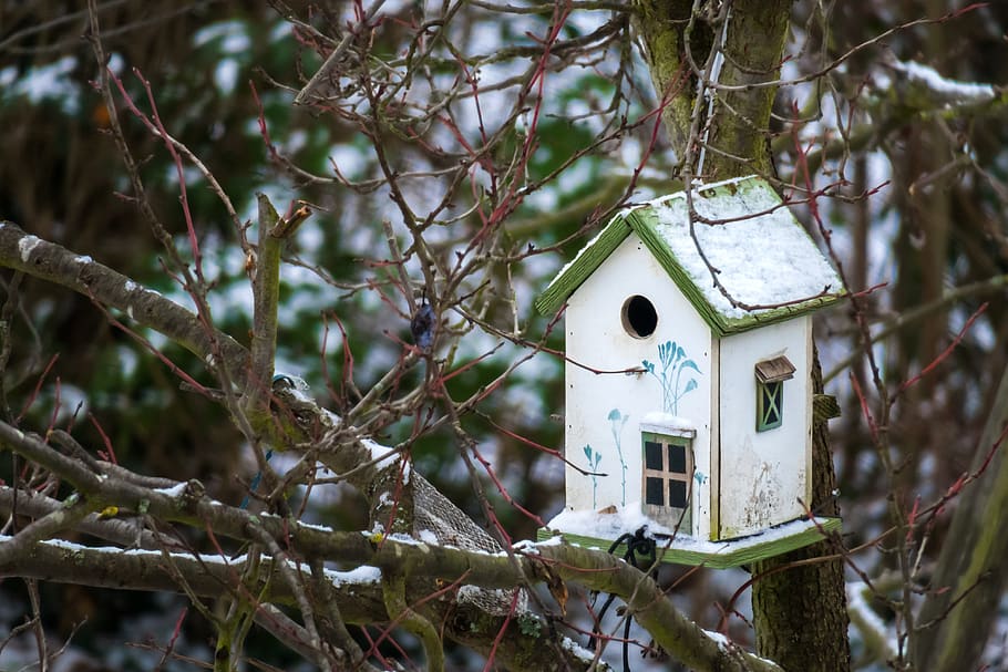 bird feeder, house, nest, live, home, security, snow melt, nature, HD wallpaper
