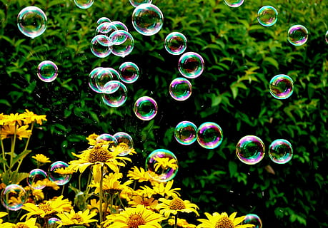 soap bubbles, colorful, summer, float, slightly, ease, make soap bubbles HD wallpaper