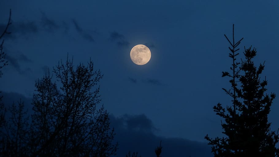 canada, canmore, moonlight, craters, night, evening, sky, skies HD wallpaper