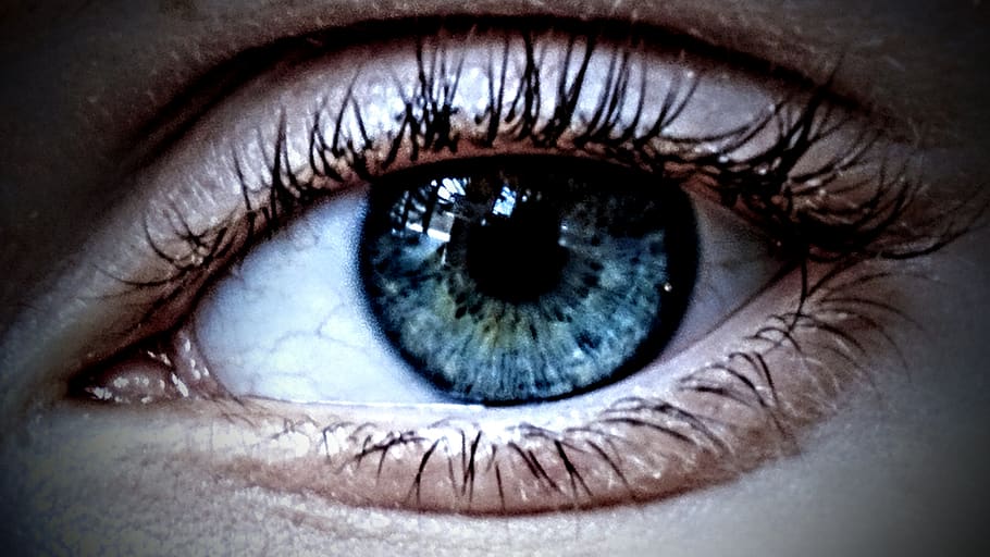 eye, open, looking, dark, light, tone, eyelid, micro, macro HD wallpaper