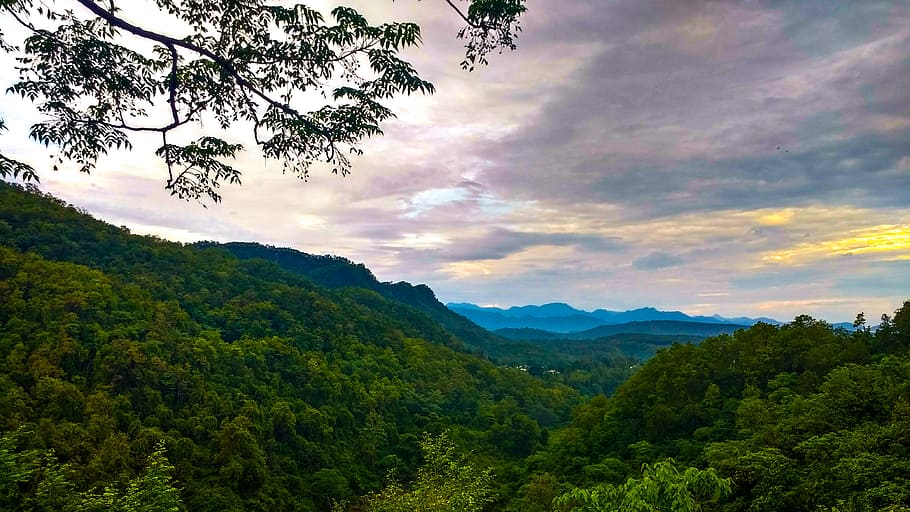 Top View of Forest, clouds, daylight, green, landscape, mountains HD wallpaper