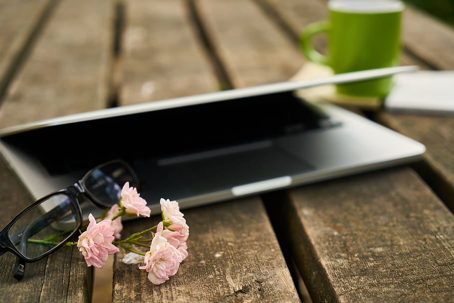 technology, laptop, computer, the work, office, study, internet HD wallpaper