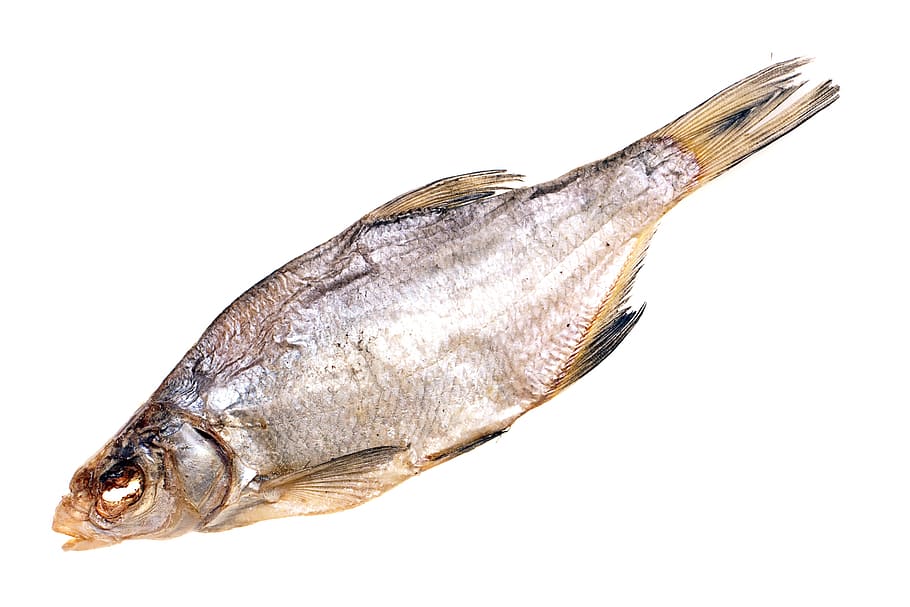 fish, dry, isolated, dried, seafood, snack, salty, white, fin HD wallpaper