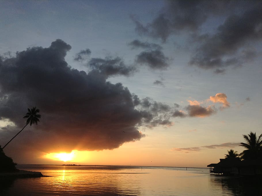 french polynesia, unnamed road, bora bora, ocean, sunset, palms, HD wallpaper