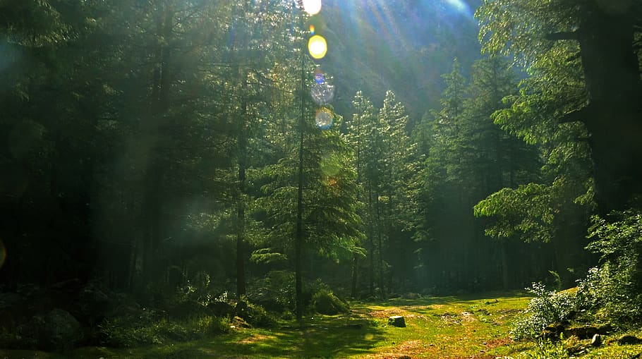 Mountains, kasol, mounatins, peace, HD phone wallpaper | Peakpx