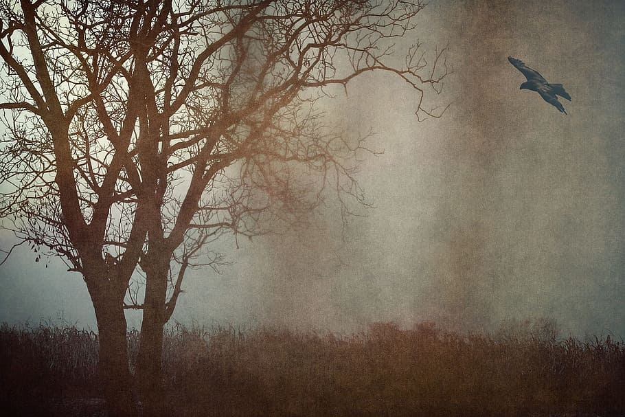 sketch, art, work, paint, painting, portrait, tree, plant, fog HD wallpaper