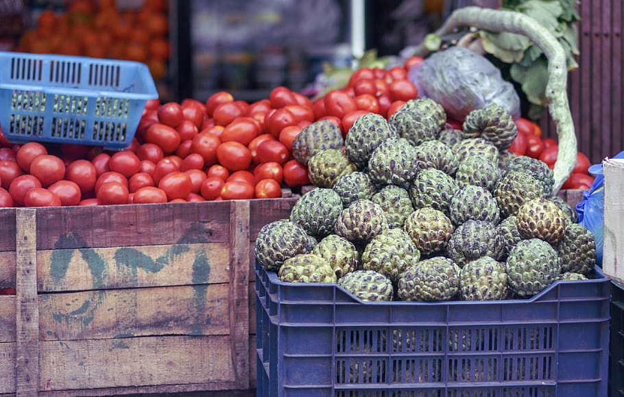 red tomatoes, food and drink, healthy eating, retail, market HD wallpaper