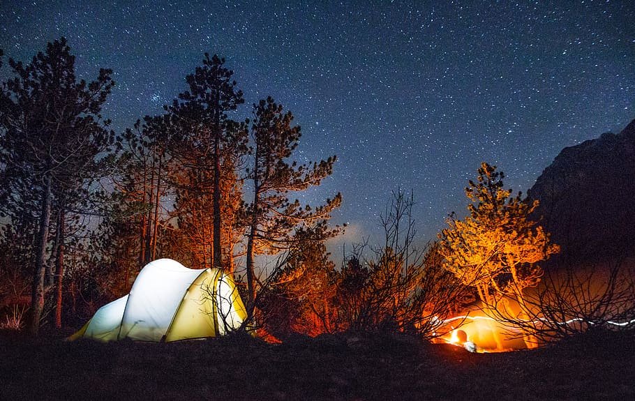 Night Dark   Forest Tent Campsite Camping HD wallpaper  Pxfuel