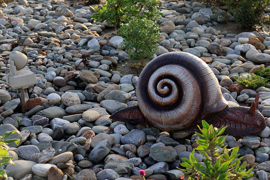 tree, sculpture, stone, plants, nature, solid, rock, rock - object HD wallpaper