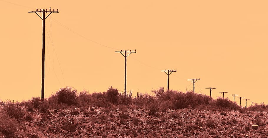 telephone lines, wires, abandoned, old, forlorn, karoo, south africa, HD wallpaper