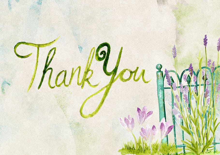 card, wish, paper, graphics, text, flower, flowering plant HD wallpaper