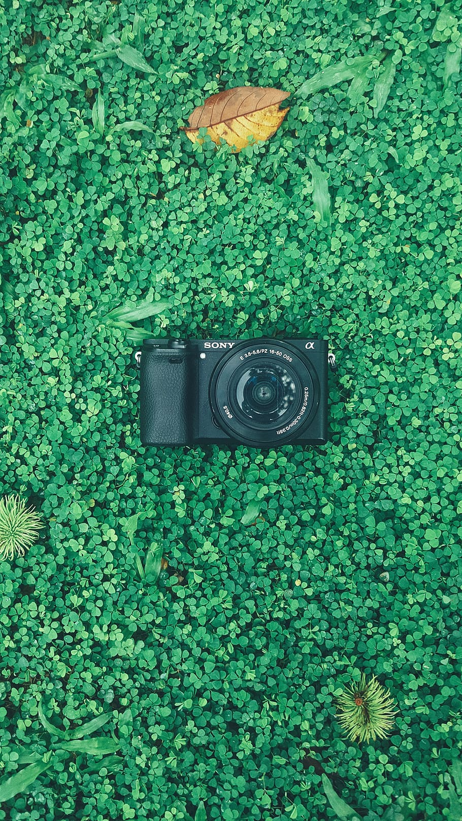 sony, camera, photography, green color, camera - photographic equipment, HD wallpaper