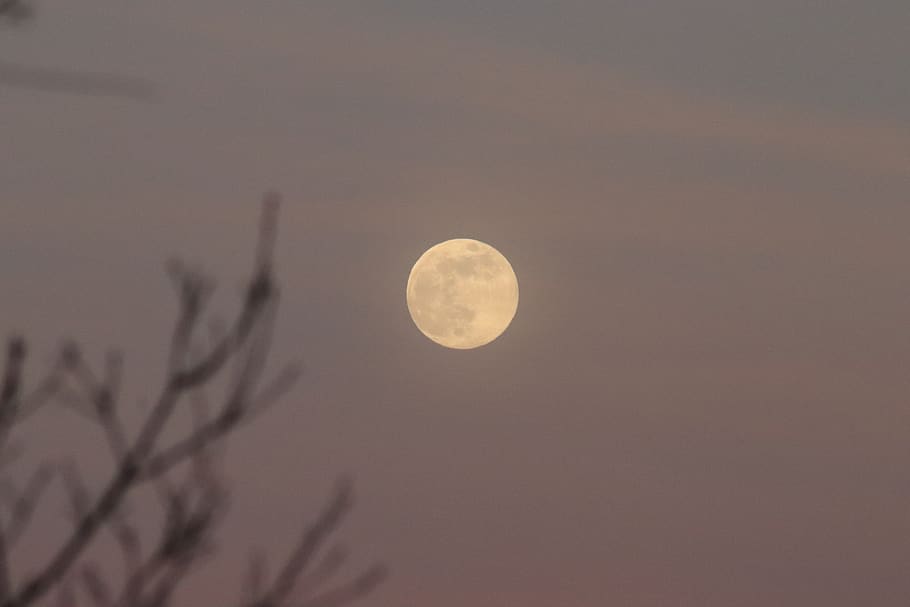 nature, outdoors, space, outer space, moon, night, astronomy HD wallpaper