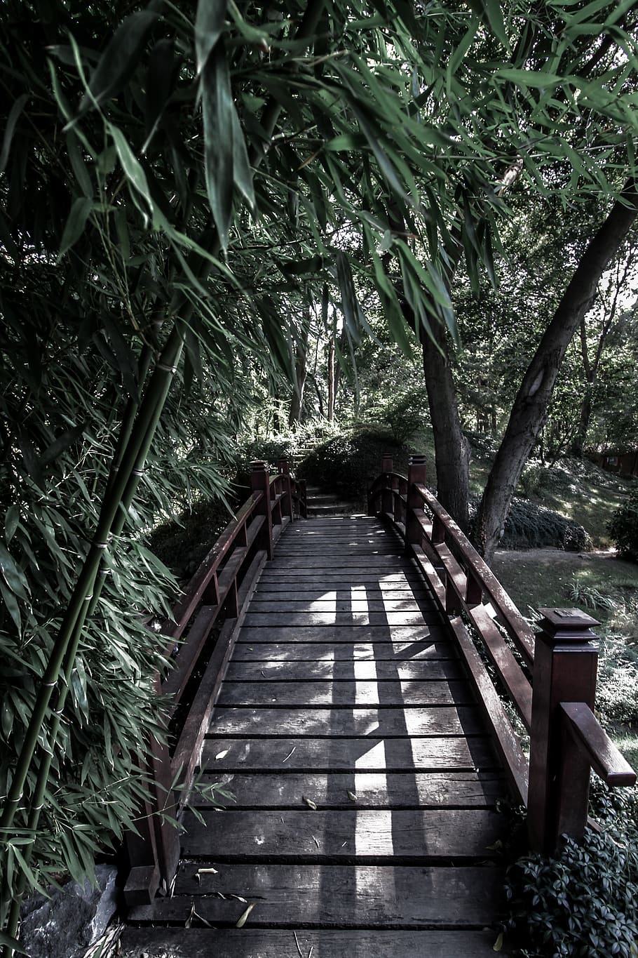 bridge, boardwalk, building, outdoors, path, garden, staircase, HD wallpaper