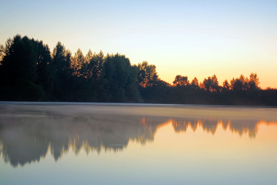 con2011, nature, scene, tree, reflection, water, plant, tranquility HD wallpaper