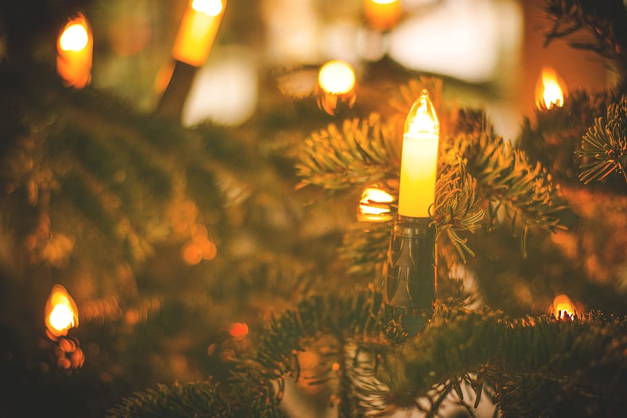 christmas, tree, lights, decor, holiday, season, blur, bokeh HD wallpaper