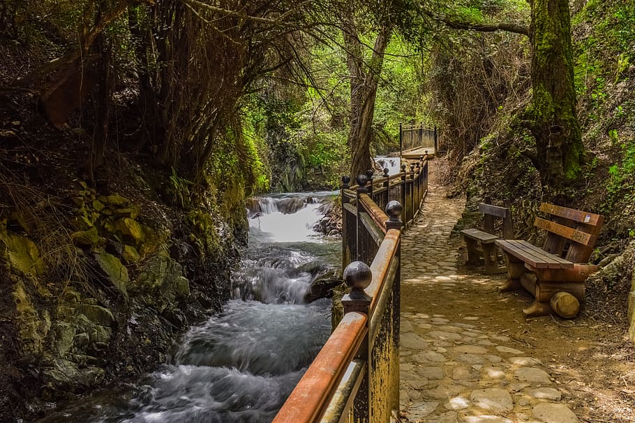 stream, creek, scenic, bench, nature, woods, scenery, path HD wallpaper
