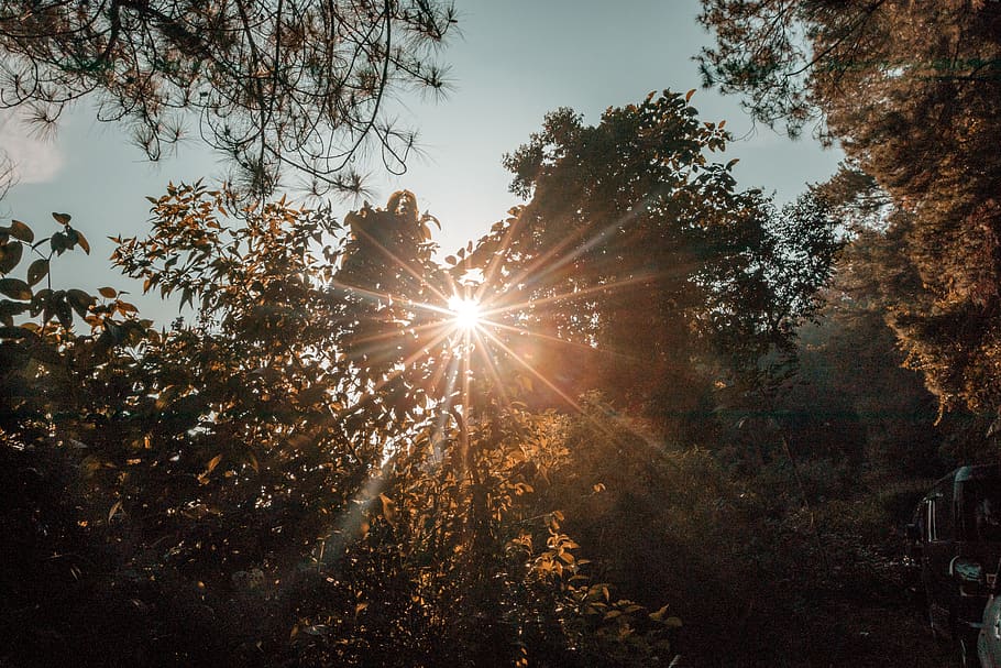 light, flare, sunlight, automobile, vehicle, car, transportation HD wallpaper