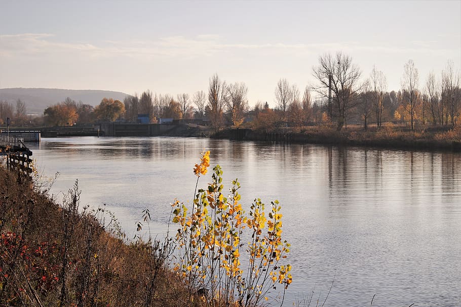 fall, autumn, sun, walk, river, leaf, leaves, water, plant HD wallpaper
