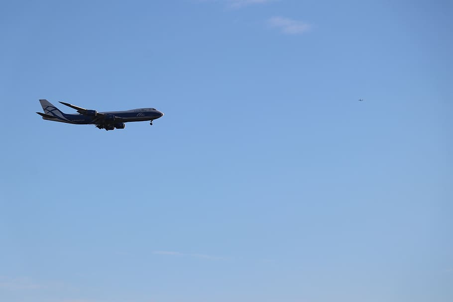 netherlands, amsterdam, flying, sky, blue, low angle view, bird HD wallpaper