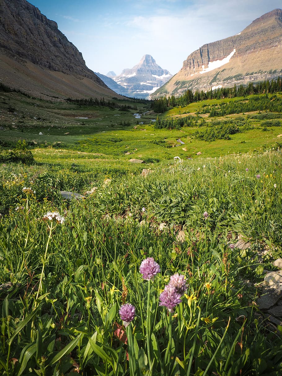 green grass between mountains, plant, beauty in nature, scenics - nature HD wallpaper