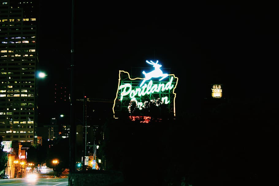 portland, united states, night, green, oregon, deer, yellow, HD wallpaper