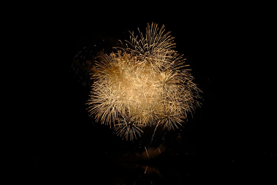 fire work, fireworks, light, night, celebration, motion, firework display HD wallpaper