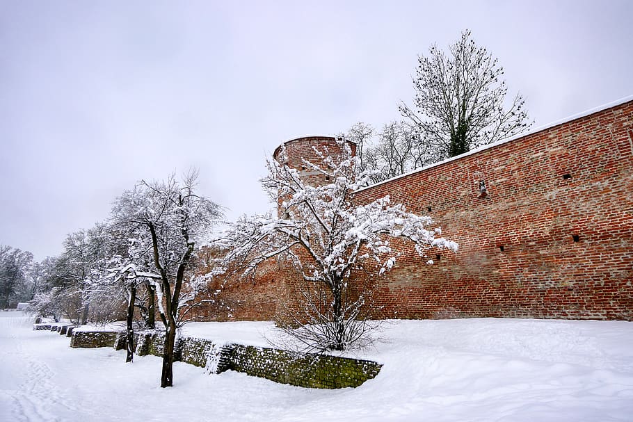 architecture, winter, ripe, building, cold, historic center, HD wallpaper