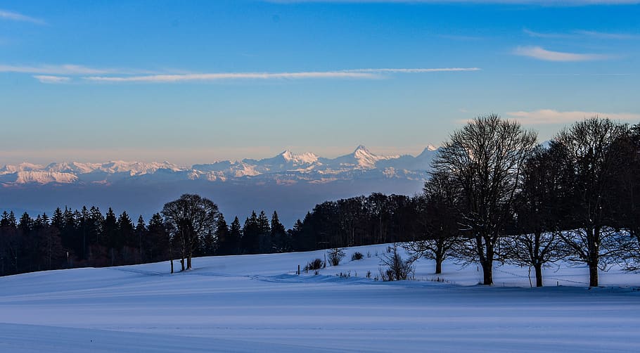 winter, snow, twilight, trees, landscape, alps, mountains, forest HD wallpaper