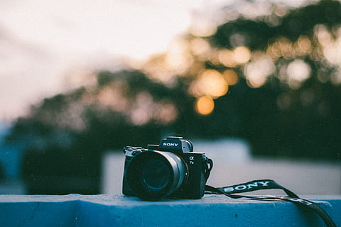 black Sony bridge camera, electronics, digital camera, strap HD wallpaper