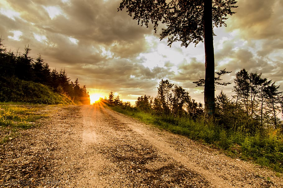 austria, attersee, sunset, forest, countryside, landscape, road HD wallpaper