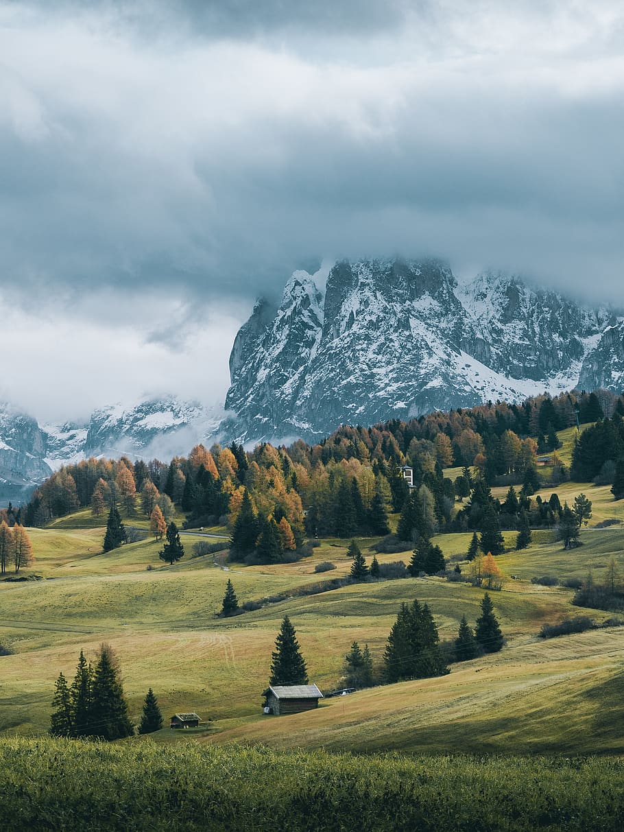 green pine trees beside mountain, scenics - nature, beauty in nature HD wallpaper