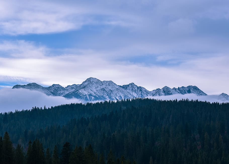 mountains covered by snow during daytime, sky, cloud, peak, fog HD wallpaper