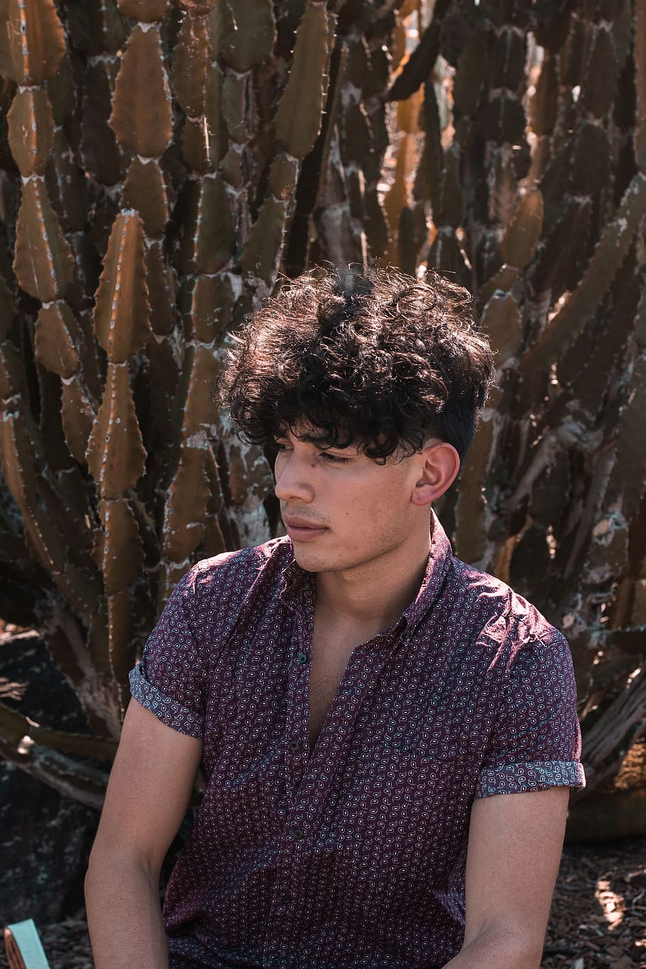 handsome, boy, man, model, nature, fashion, cactu, desert, person HD wallpaper