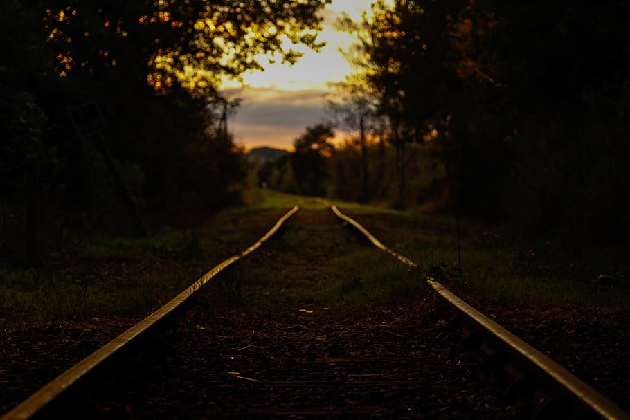 sunset, trees, railway, deserted, reflets, landscape, direction HD wallpaper