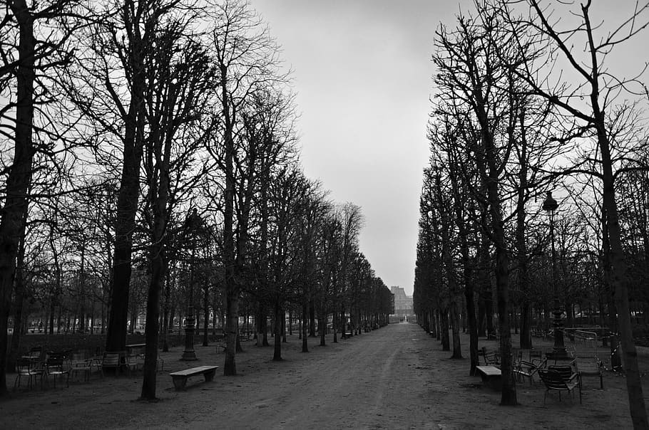 park, paris, tree, perspective, rationalism, winter, melancholy HD wallpaper