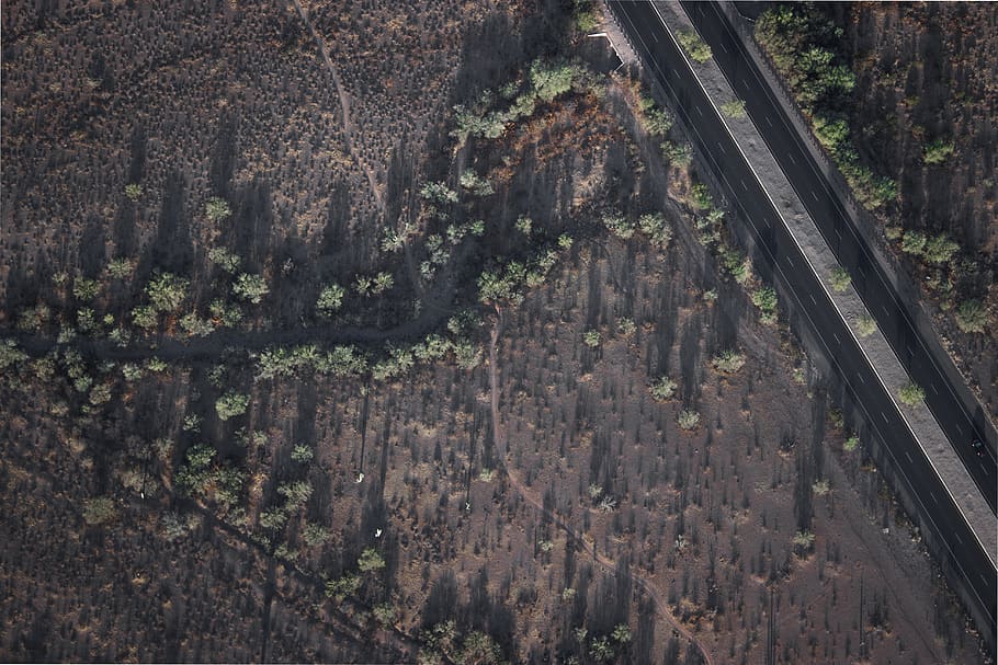 aerial photography of trees near highway, outdoors, nature, scenery