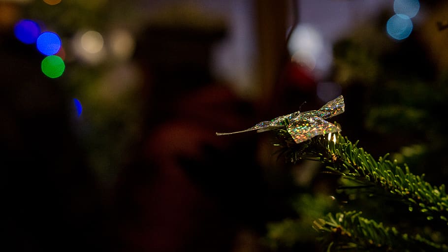 christmas, butterfly, light, tree, bokeh, animal themes, animal wildlife HD wallpaper