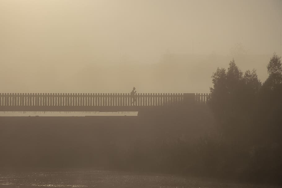 misty, bridge, jogging, morning, early, exercise, water, sunrise, HD wallpaper